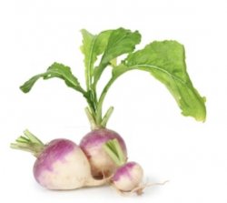 Turnip Meme Template