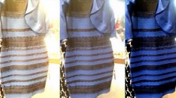 What Color Is The Dress Meme Template