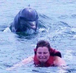 Woman swimming from dolphin Meme Template