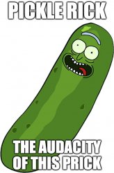 Pickle rick the audacity of this prick Meme Template