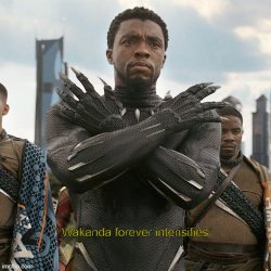 wakanda forever intensifies Meme Template