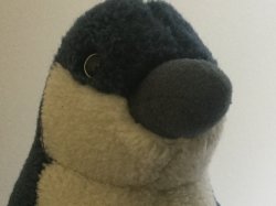 Penguin boi Meme Template