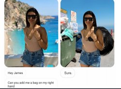 James Fridman Bag Meme Template