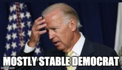 Biden Mostly Stable Democrat Meme Template