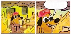 this is fine dog with maga hat Meme Template
