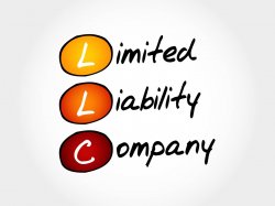 LLC Company Incorporation Meme Template