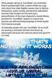 Snowflake definition with snowflake Meme Template