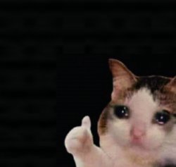 Thumbs up crying cat Meme Template
