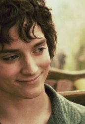 Frodo Baggins Meme Template