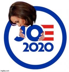 Joe 2020 Meme Template
