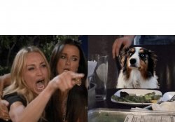 Yelling at the Dog Meme Template