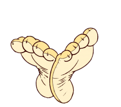 Lion Feet Template Meme Template