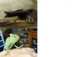 Chameleon vs. Dragon Meme Template