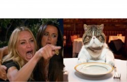 Woman Yelling At Cat 2 Meme Template