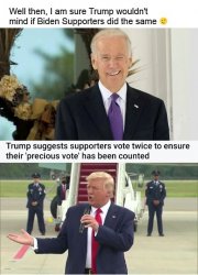 Trump Telling Supporters Vote Twice By Mail And In Person Ballot Meme Template