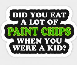 Did you eat a lot of paint chips as a kid? Meme Template
