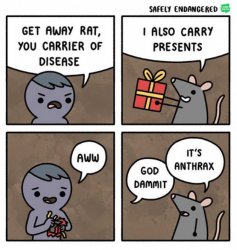 Rat present Meme Template