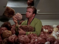 Kirk and Tribbles Meme Template