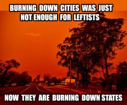 BLM and Antifa are not satisfied just burning cities. Meme Template