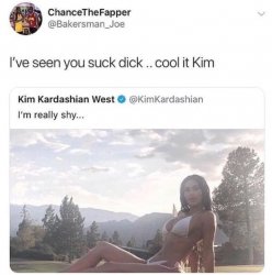 Shy Kim Kardashian tweet Meme Template