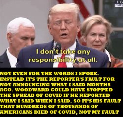 Trump blames woodward Meme Template