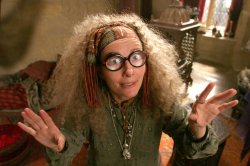 Kooky Professor Trelawney Meme Template