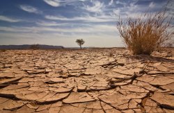 Drought in Australia Meme Template