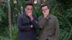 Ant and dec Meme Template