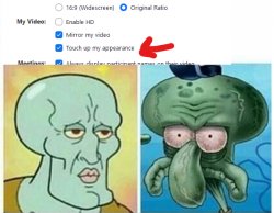 Zoom Filter - Squidward Meme Template