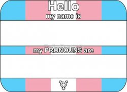 Name and Pronouns Meme Template
