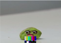 Nude Pistachio Meme Template