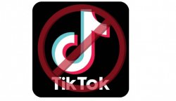 banned tiktok Meme Template