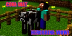 Herobrine and the Cow Meme Template