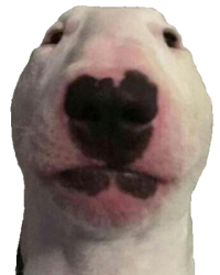 Pp Meme Template