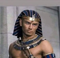 pharaoh Meme Template