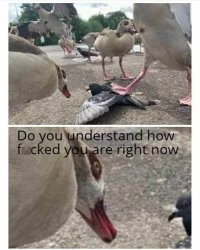 Do you understand how fcuked you are? Meme Template