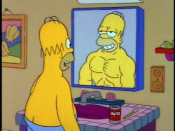 Homer and the mirror Meme Template