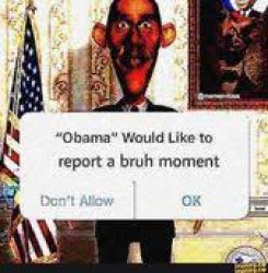 Obama would like to report a bruh moment Meme Template