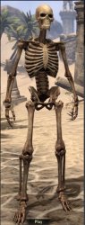 Elder Scrolls Skeleton Meme Template