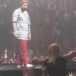 Post Malone Flashed Meme Template