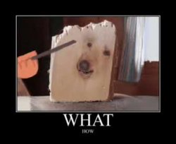 What how Meme Template