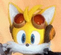 woops tails Meme Template