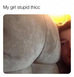 My girl stupid thicc Meme Template