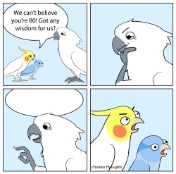 Chicken Thoughts: The wise old bird Meme Template