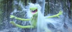 drenched kermit Meme Template