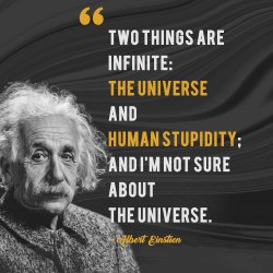 Einstein: 2 things are infinite. Meme Template