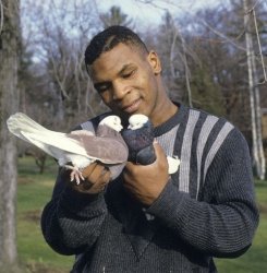 Now Kith Meme Template