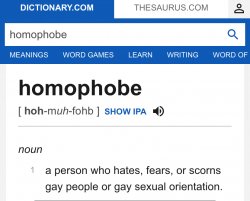 Homophobe definition Meme Template