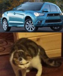 Confused cat Meme Template