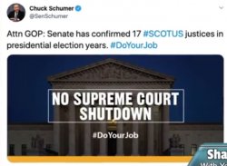 Schumer was in favor of appointing a justice before he wasn't Meme Template